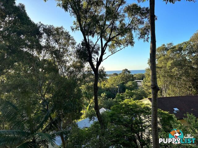 1/24 Panorama Drive Currumbin QLD 4223