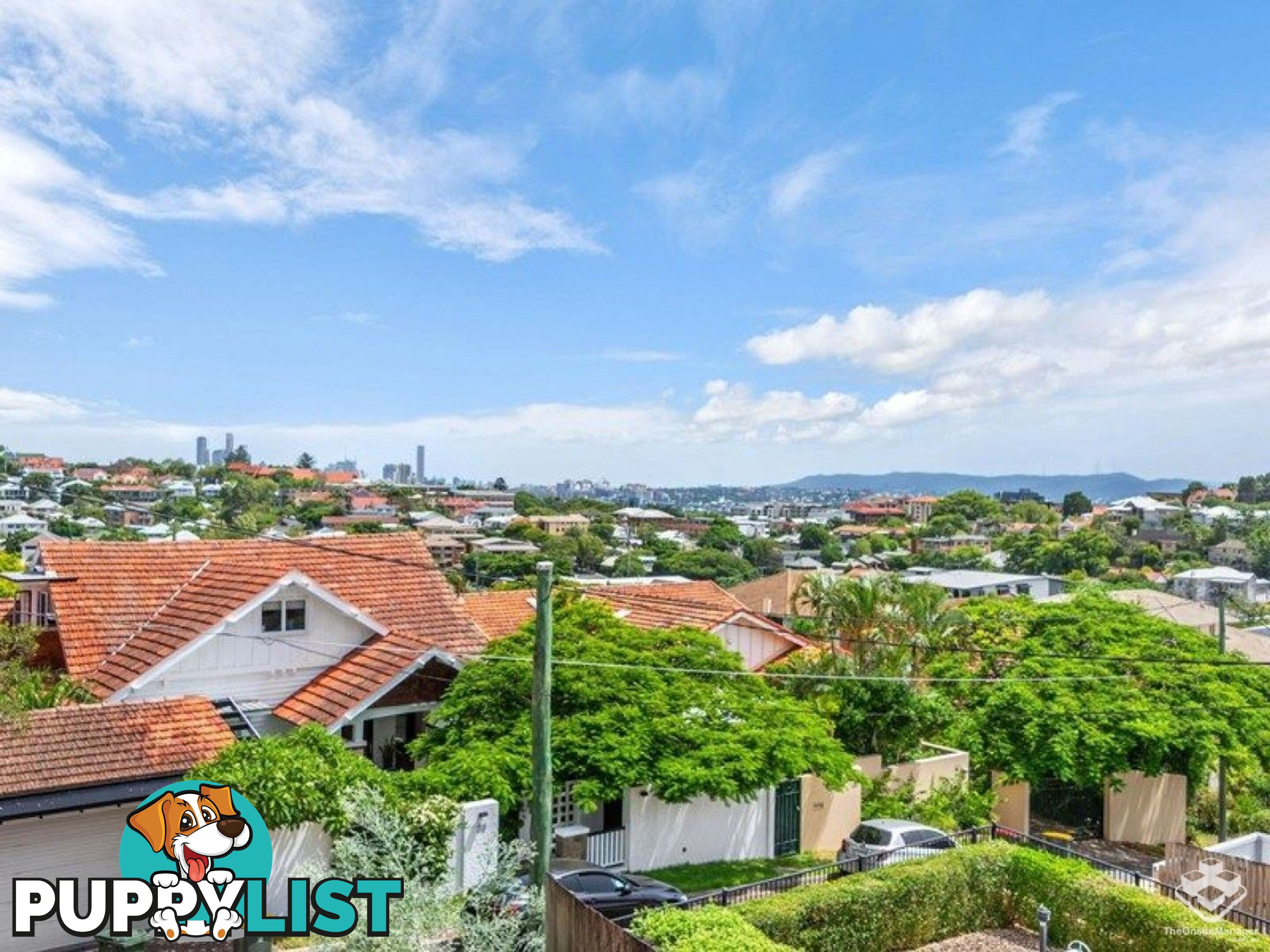 40 Botany Street Clayfield QLD 4011