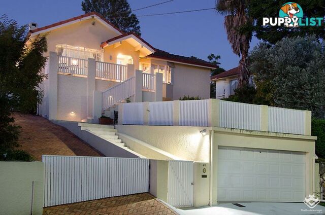 40 Botany Street Clayfield QLD 4011