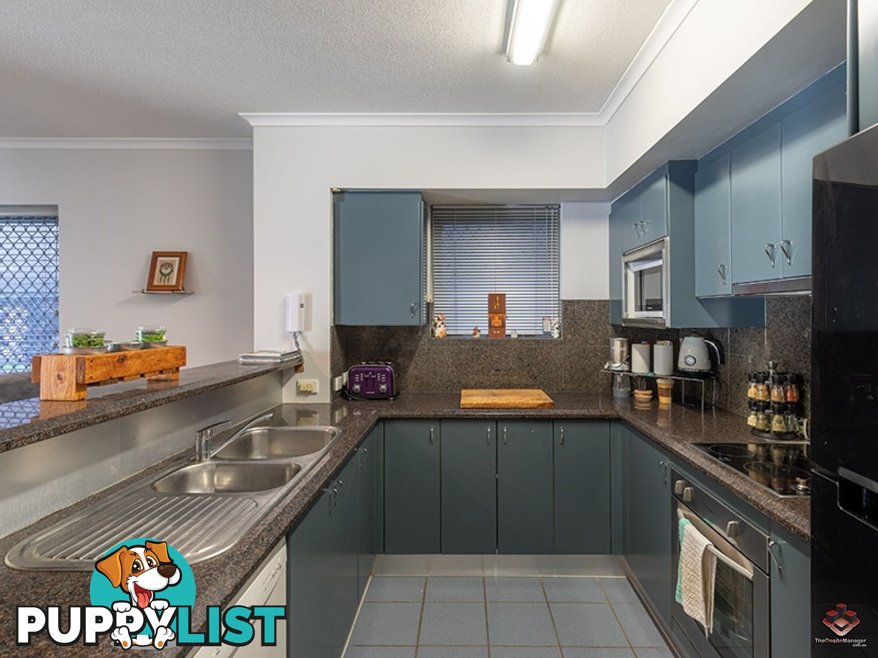 50 Rotherham Street Kangaroo Point QLD 4169