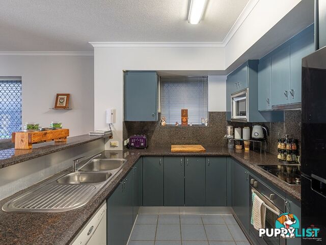 50 Rotherham Street Kangaroo Point QLD 4169