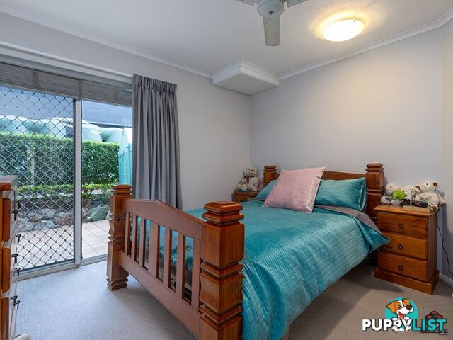 50 Rotherham Street Kangaroo Point QLD 4169