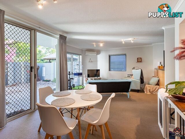 50 Rotherham Street Kangaroo Point QLD 4169