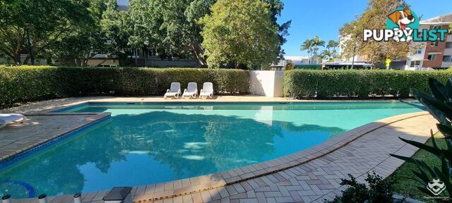 ID:21154838 10 Vernon Terrace Teneriffe QLD 4005
