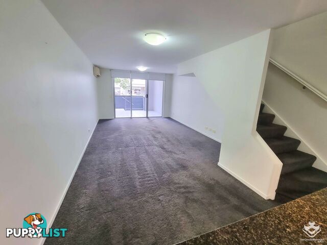 ID:21154838 10 Vernon Terrace Teneriffe QLD 4005