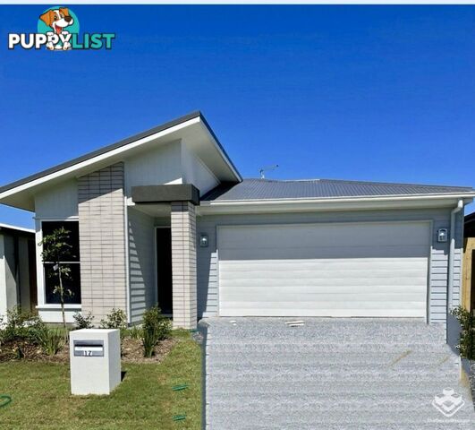 17 Steves Way Coomera QLD 4209