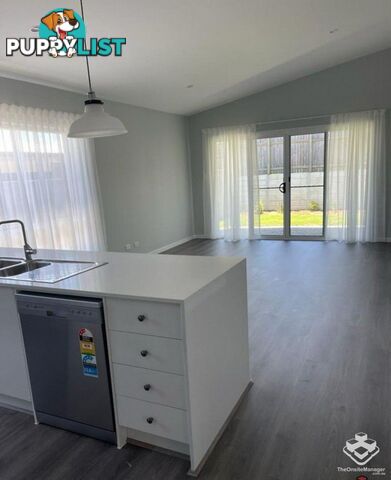 17 Steves Way Coomera QLD 4209