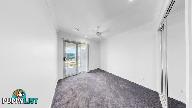 ID:21153938 3 Cliffdale Place Spring Mountain QLD 4300