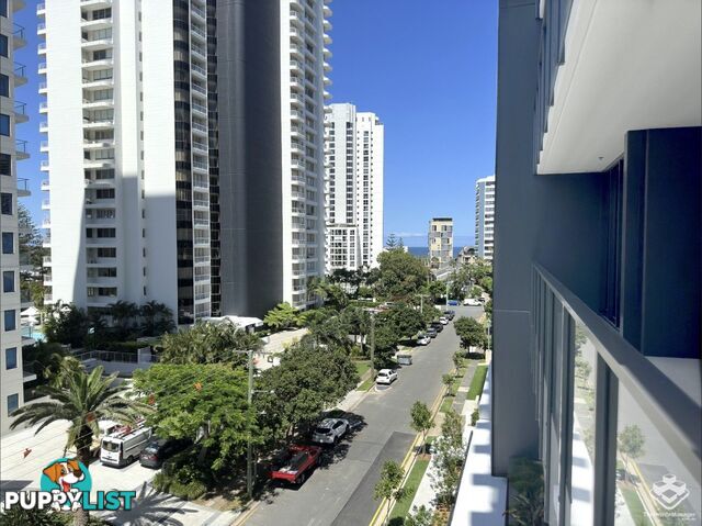 ID:21143211/25 Woodroffe Avenue Main Beach QLD 4217