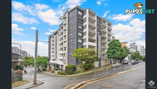 6 Exford Street Brisbane City QLD 4000