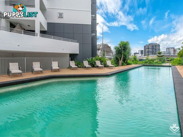 6 Exford Street Brisbane City QLD 4000