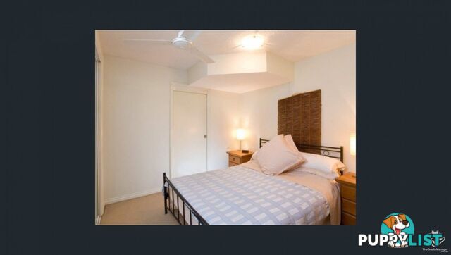 ID:21154644 176 Sydney Street New Farm QLD 4005