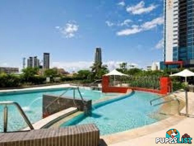 ID:3881005/9 Lawson Street Southport QLD 4215