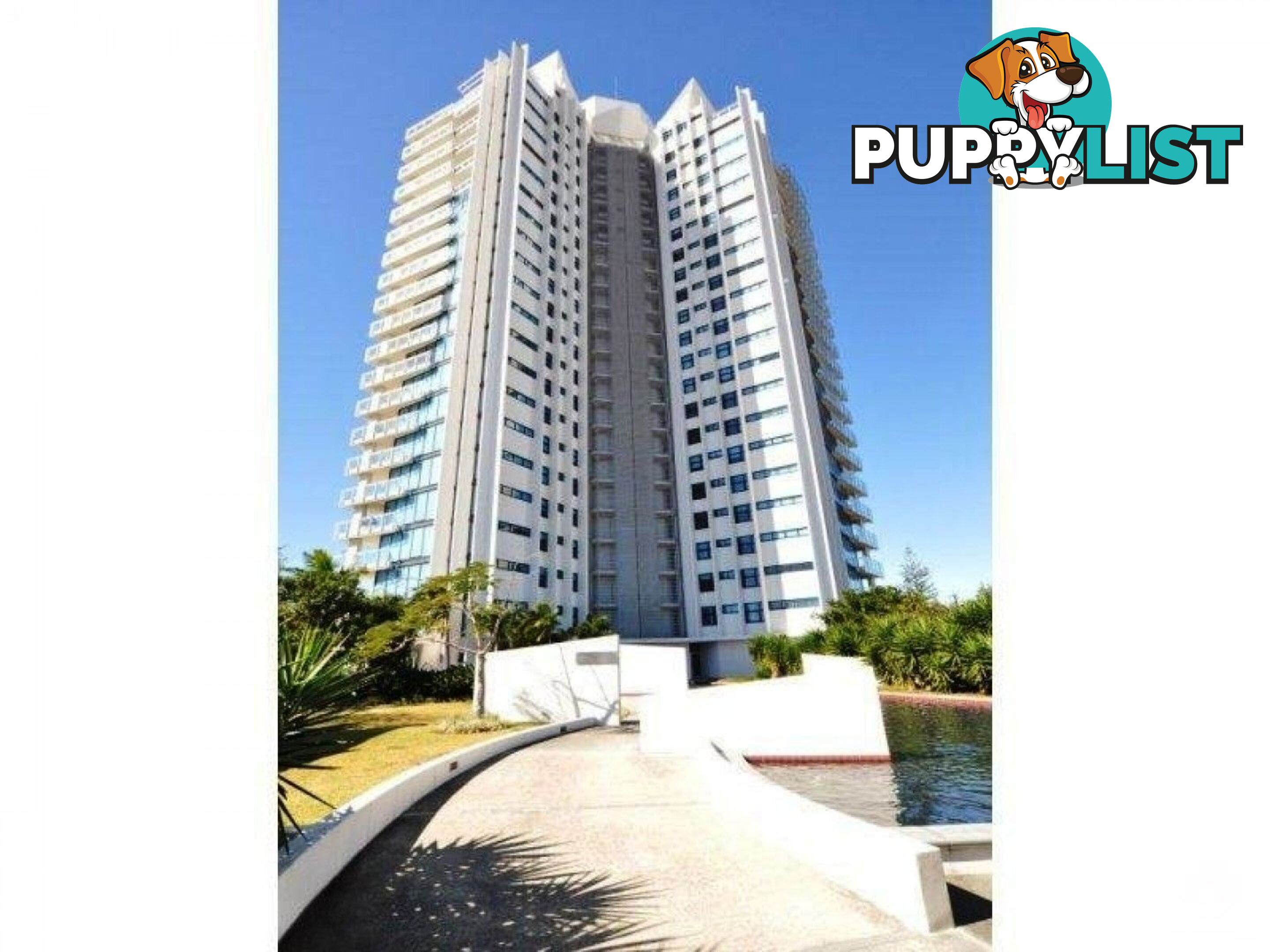 ID:21144573/230 Marine Parade Labrador QLD 4215