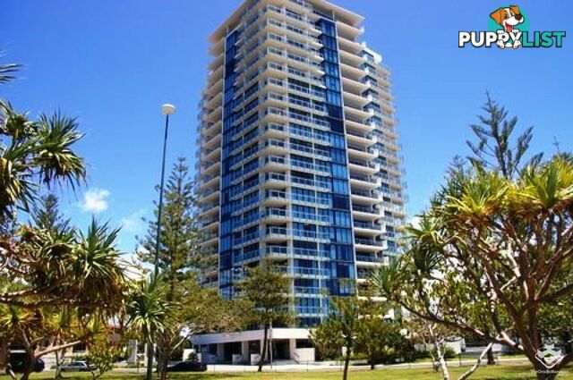 ID:21144573/230 Marine Parade Labrador QLD 4215