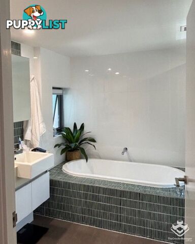 t17/28 Bayview Street Runaway Bay QLD 4216