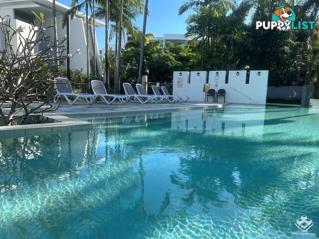 t17/28 Bayview Street Runaway Bay QLD 4216