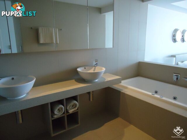 ID:21154053 53 Darrambal Street Chevron Island QLD 4217