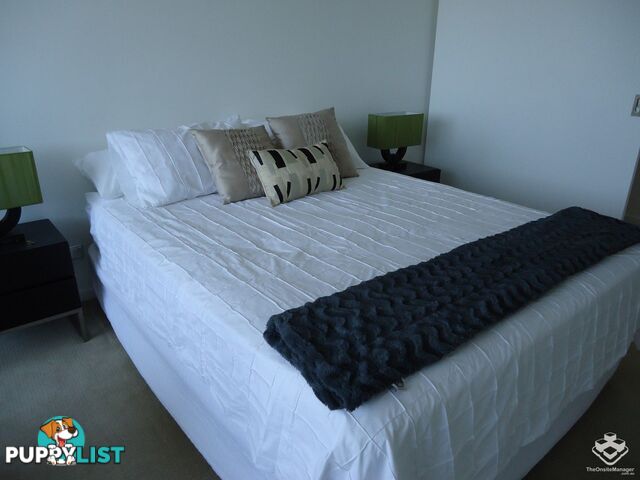 ID:21154053 53 Darrambal Street Chevron Island QLD 4217
