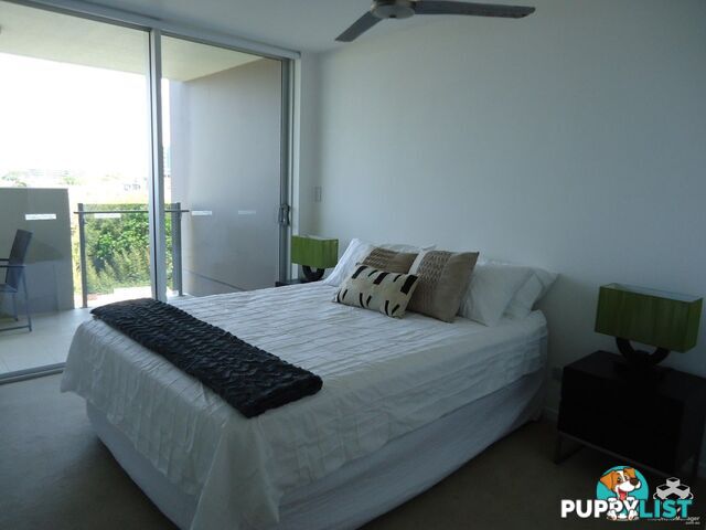 ID:21154053 53 Darrambal Street Chevron Island QLD 4217