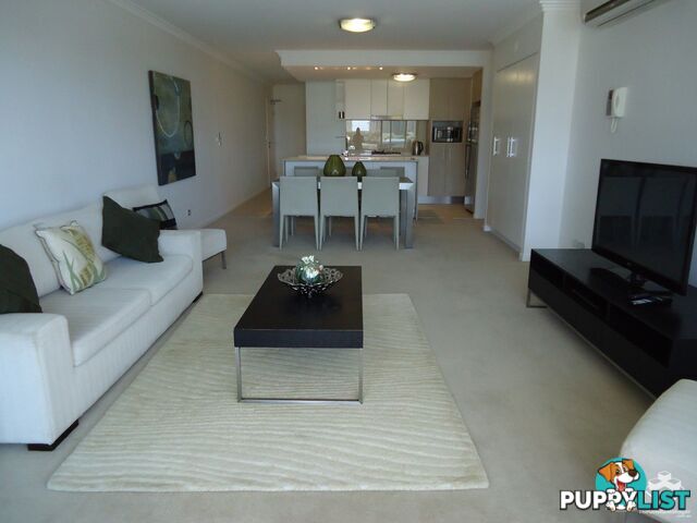 ID:21154053 53 Darrambal Street Chevron Island QLD 4217