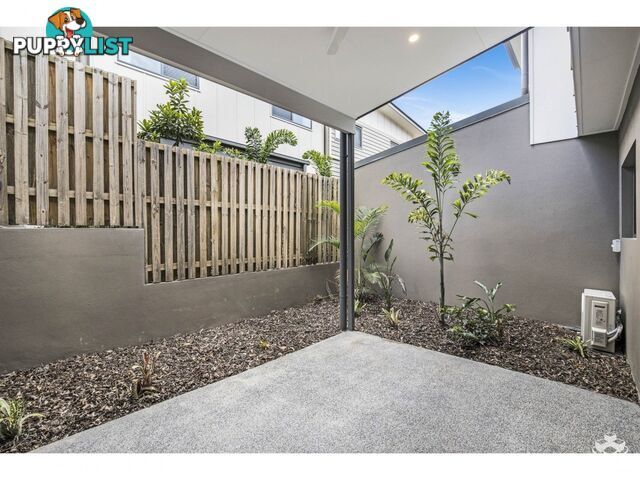 ID:21155896 36 Bunya Road Everton Hills QLD 4053