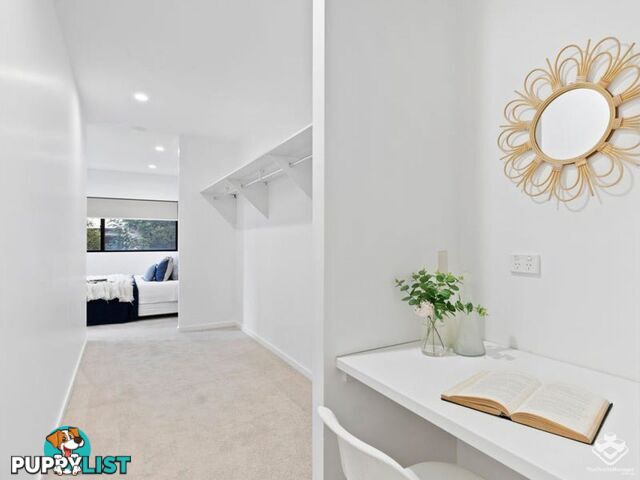 ID:21158494 31 Bombery Street Cannon Hill QLD 4170