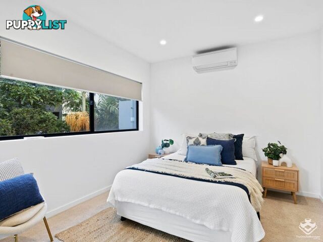 ID:21158494 31 Bombery Street Cannon Hill QLD 4170