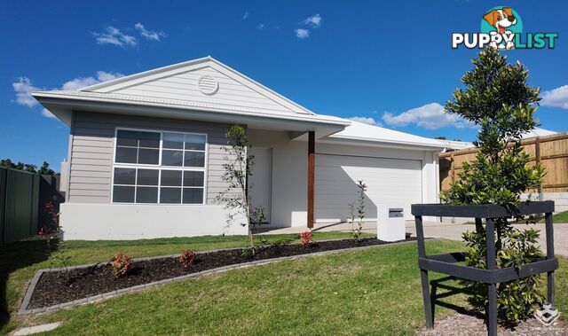 18 Shepton Street Carseldine QLD 4034