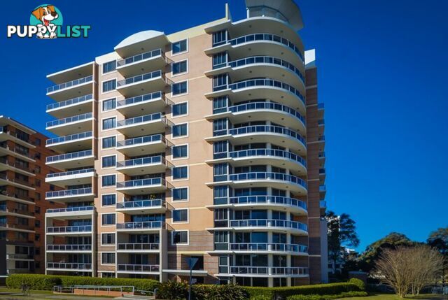 86/6-10 Romsey Street Waitara NSW 2077