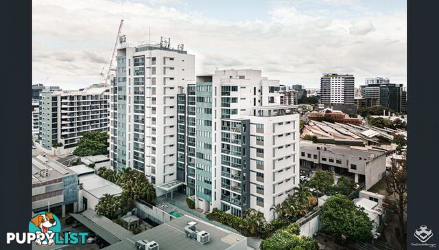 ID:21156255 16 Hamilton Place Bowen Hills QLD 4006
