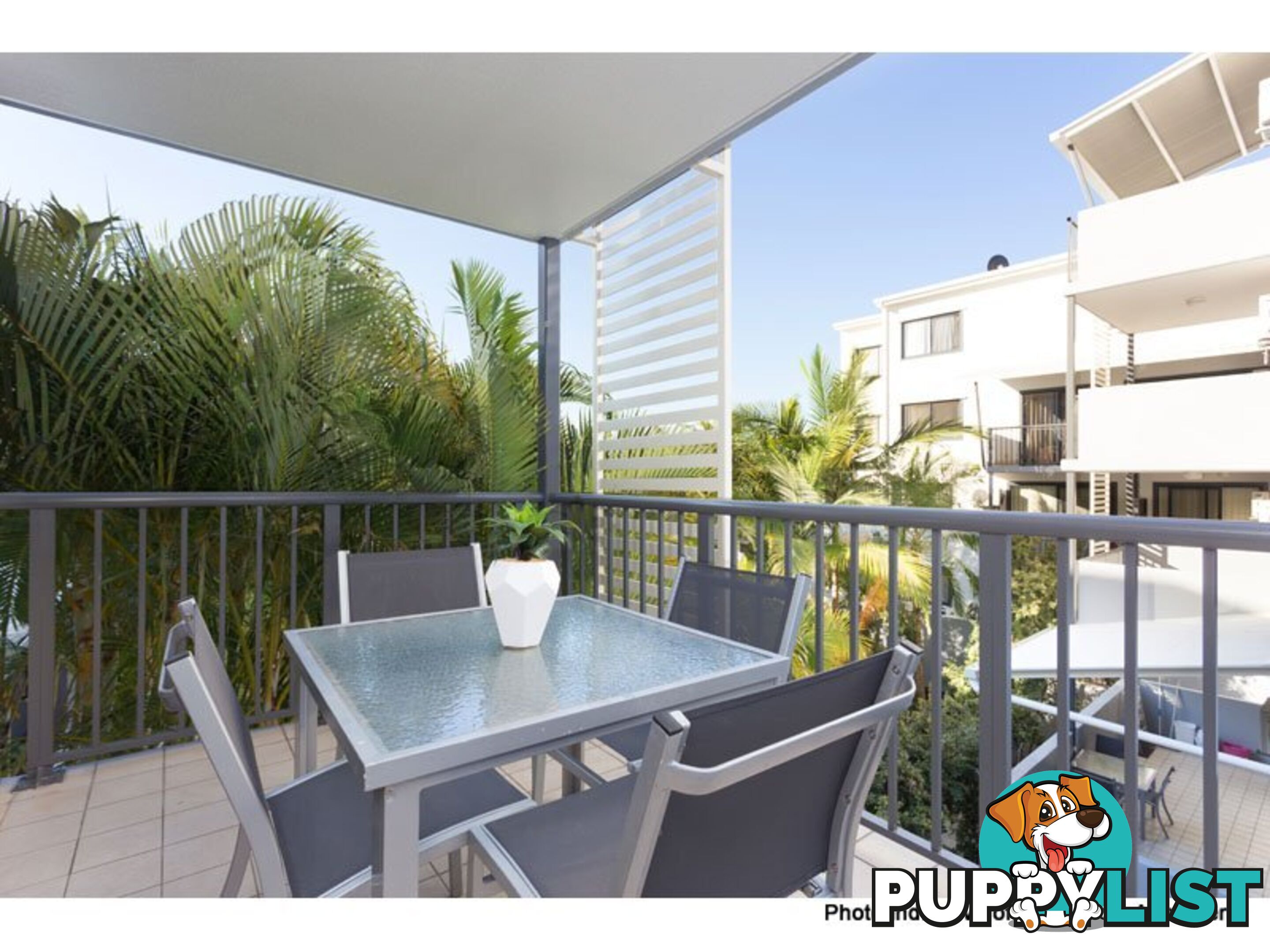 ID:21153057 35 Morrow Street Taringa QLD 4068