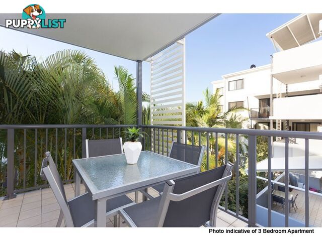 ID:21153057 35 Morrow Street Taringa QLD 4068