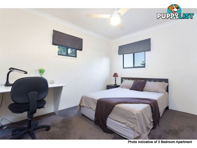 ID:21153057 35 Morrow Street Taringa QLD 4068