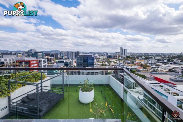 508/7 Chester Street Newstead QLD 4006