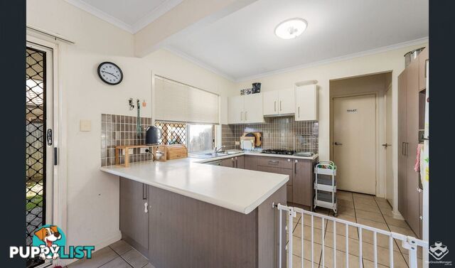 42/1-31 Elsie Street Kallangur QLD 4503