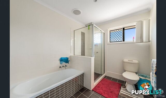 42/1-31 Elsie Street Kallangur QLD 4503