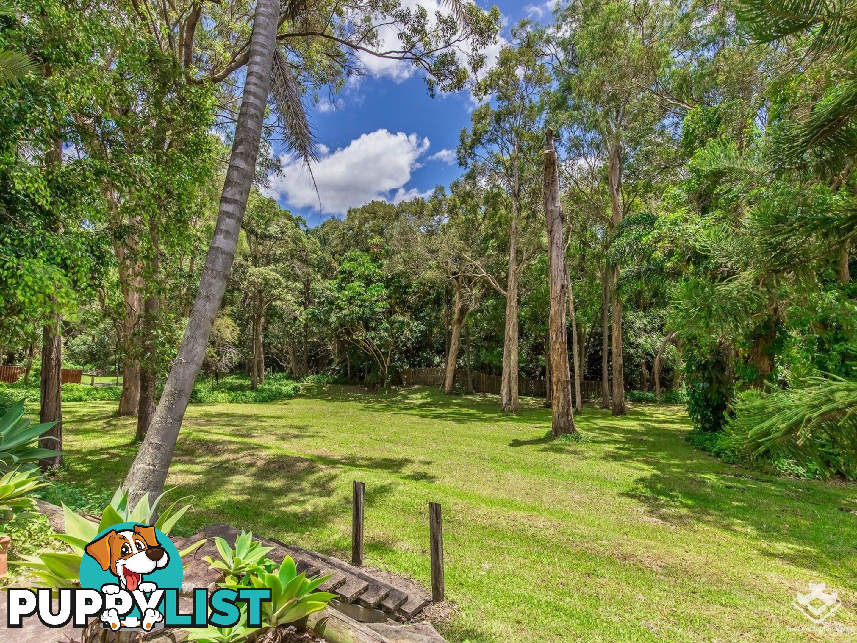 234 Banyula Drive Gaven QLD 4211