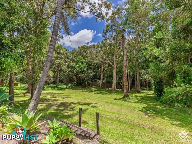 234 Banyula Drive Gaven QLD 4211