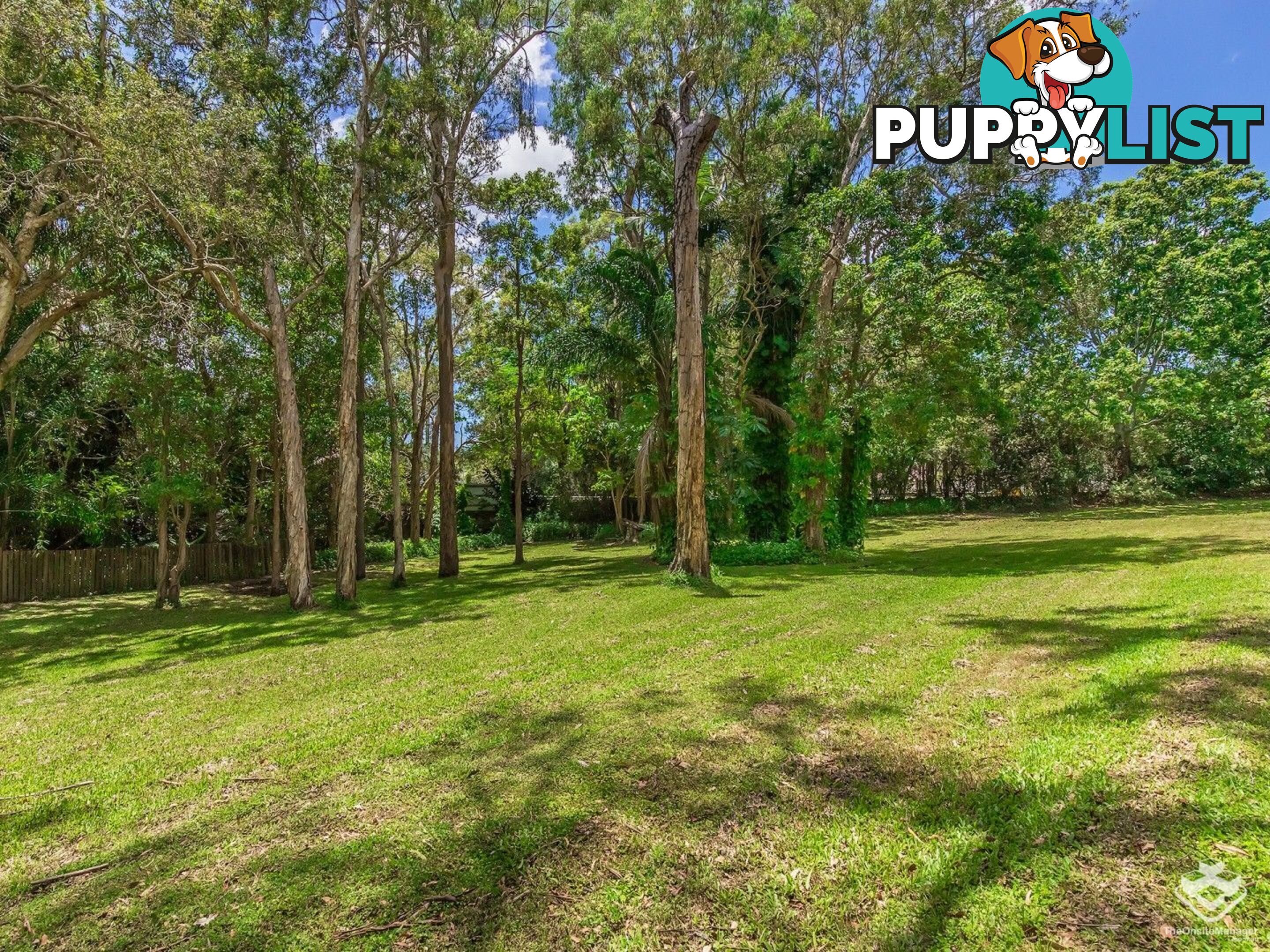 234 Banyula Drive Gaven QLD 4211