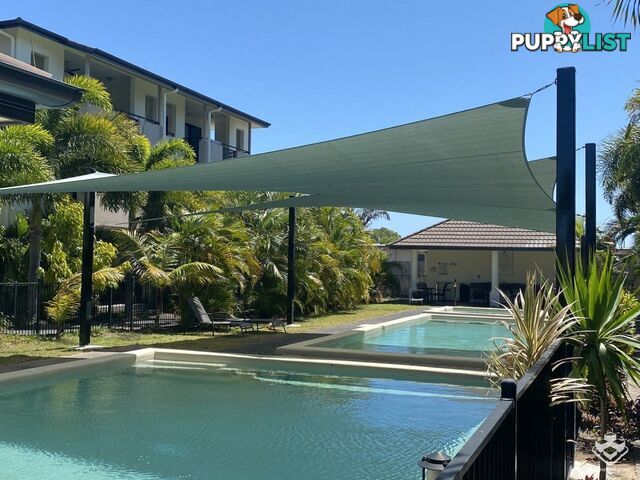 ID:21155152 6-24 Henry Street West End QLD 4810