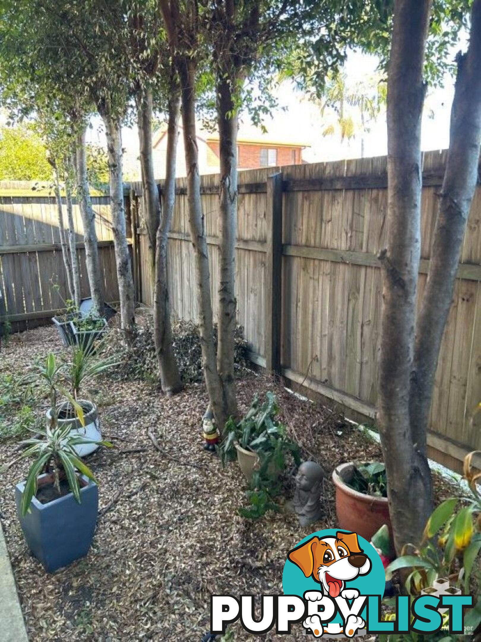 Kallangur QLD 4503