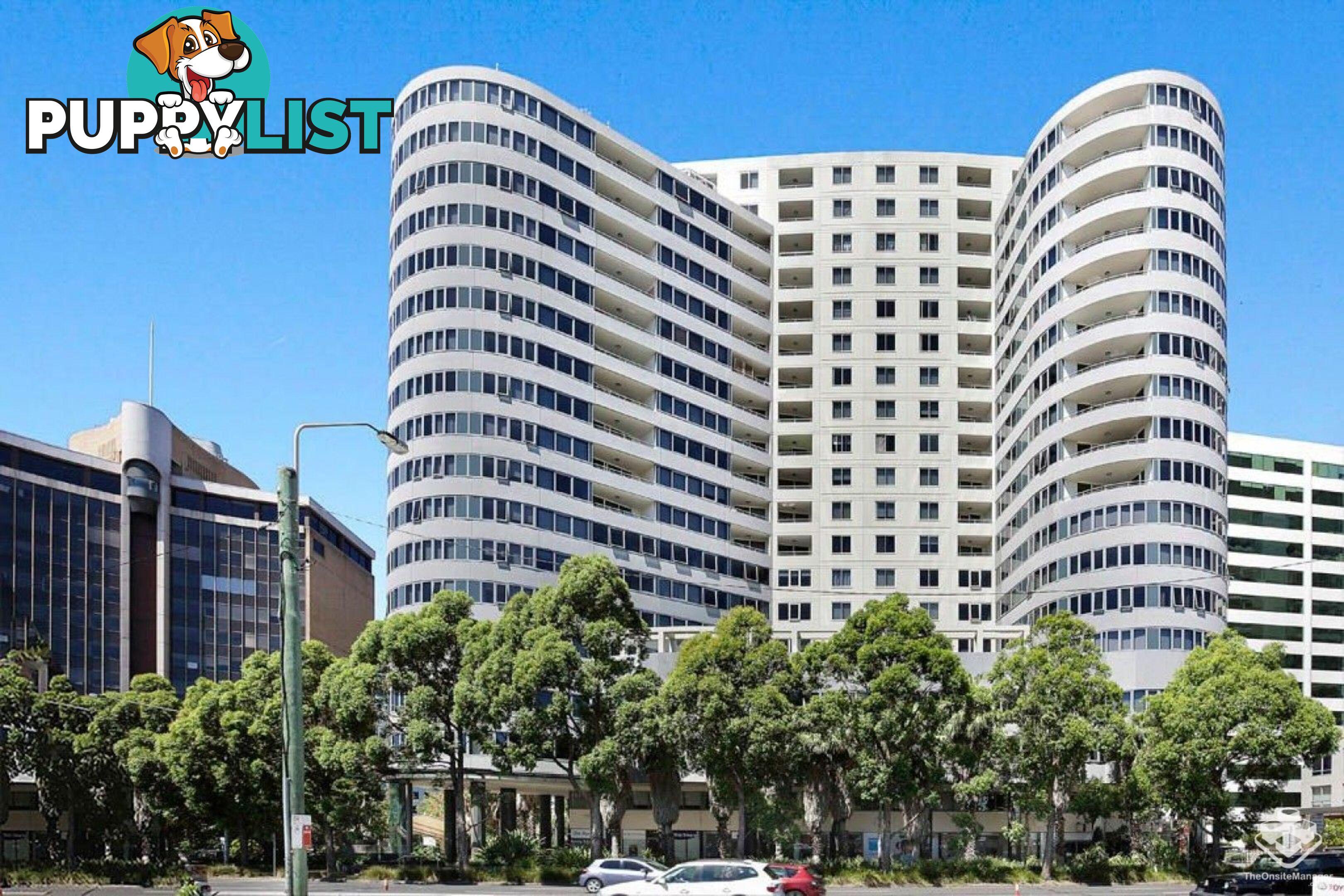 ID:21153842 14 Brown Street Chatswood NSW 2067