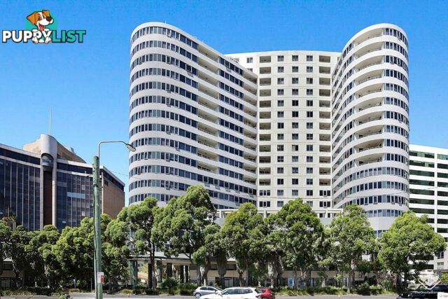 ID:21153842 14 Brown Street Chatswood NSW 2067