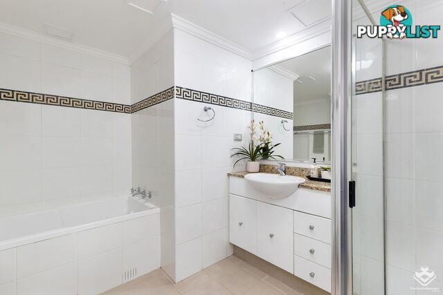 ID:21153842 14 Brown Street Chatswood NSW 2067