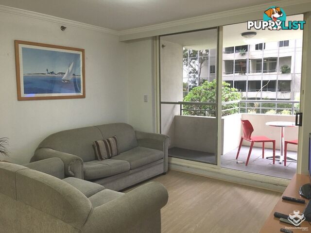ID:21153842 14 Brown Street Chatswood NSW 2067