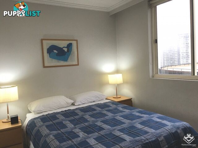 ID:21153842 14 Brown Street Chatswood NSW 2067