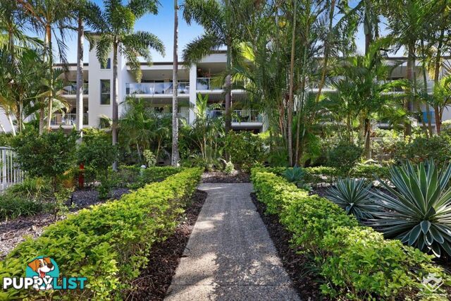 ID:21155860 1880 Gold Coast Highway Burleigh Heads QLD 4220