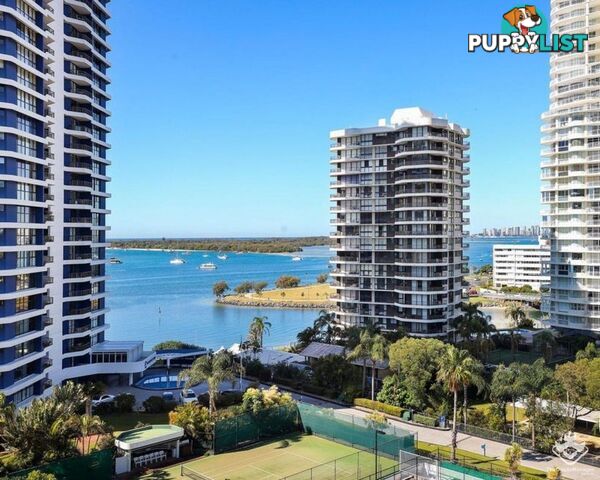 ID:21140289/21 Bayview Street Runaway Bay QLD 4216