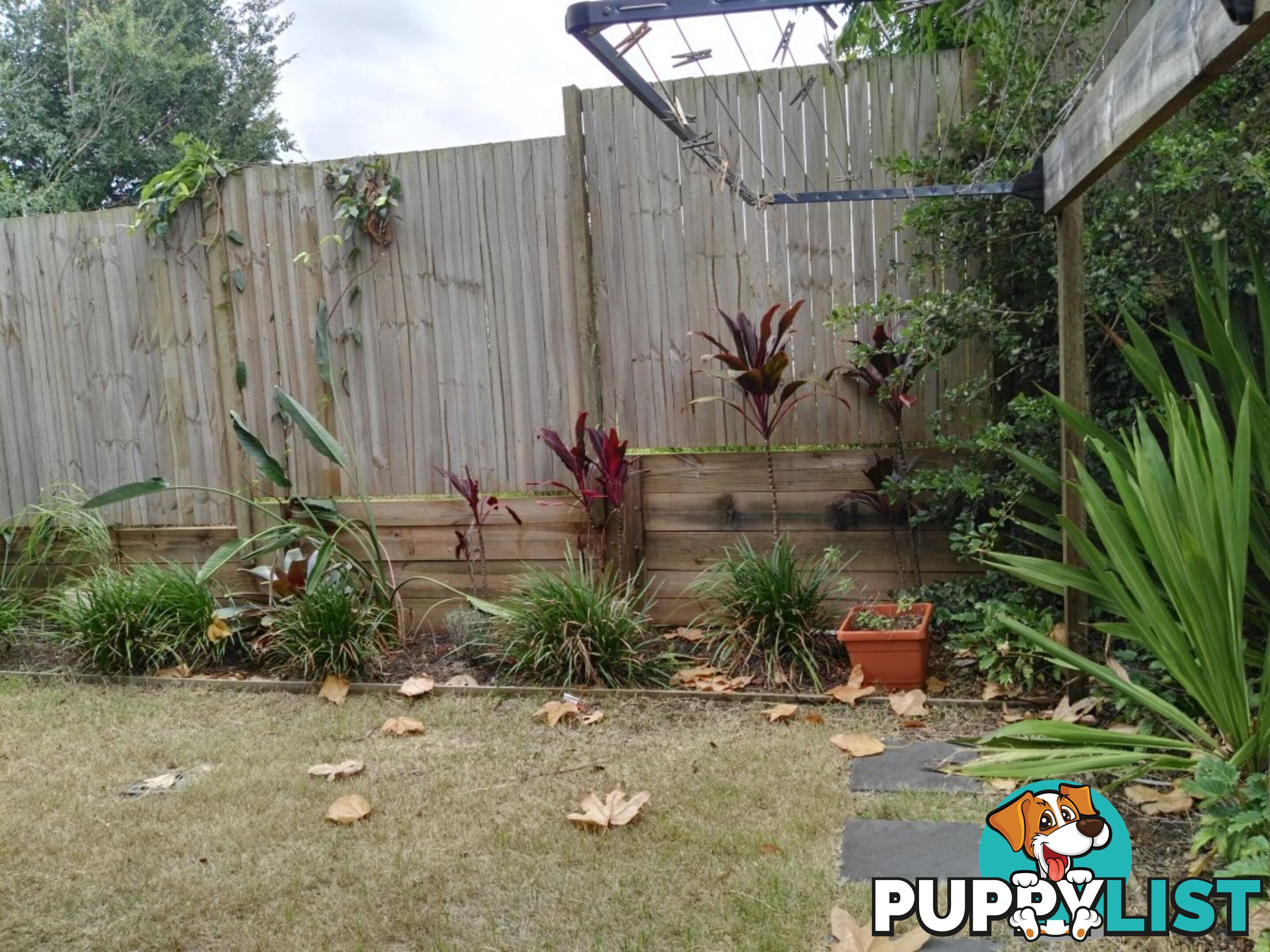 ID:21154786 295 Turton Street Coopers Plains QLD 4108
